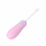 Kitchen Electric Hand Whisk Mixer